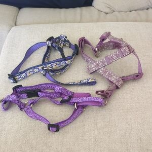 Purple and Blue Floral Dog Harness Set Bundle Of 3